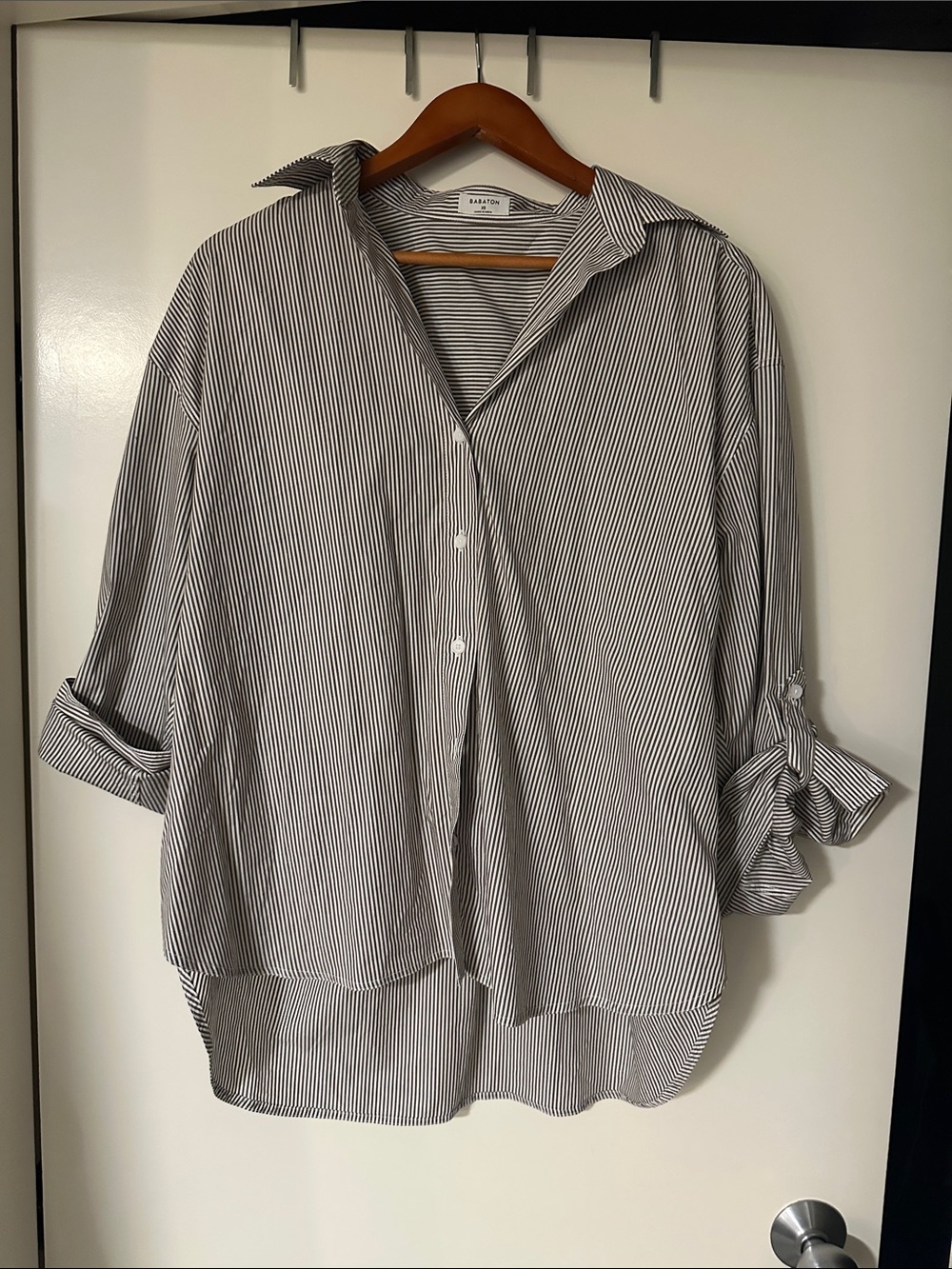 Babaton Archive Shirt (Aritzia)